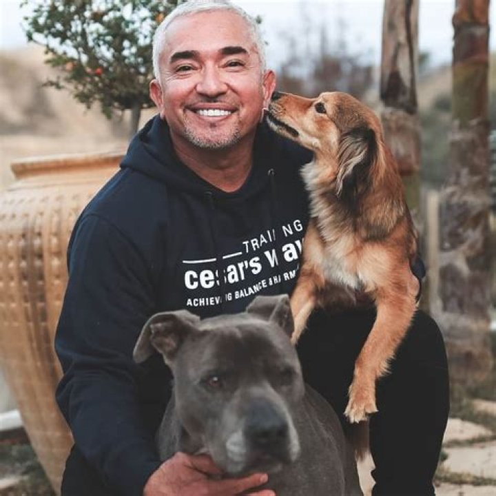Cesar Millan Net Worth & Earnings (2024)