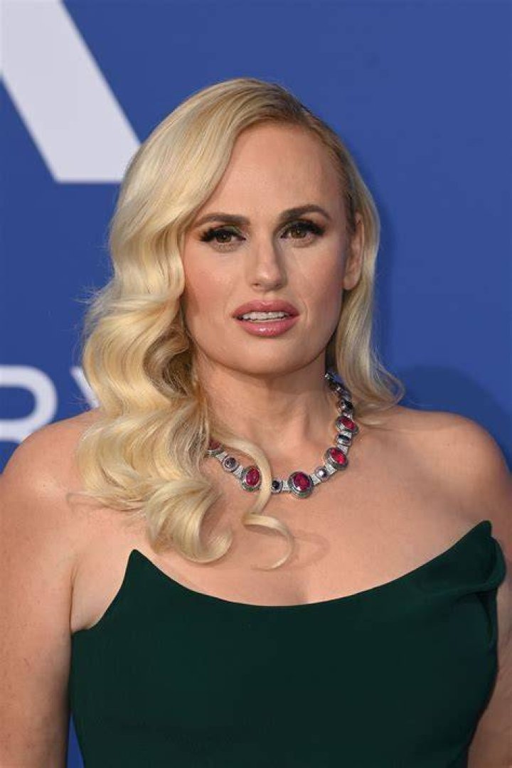 Rebel Wilson husband: Was Rebel Wilson married to Jacob Busch? 1 Rebel Wilson